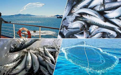 Easy-Throw Cast Net – Heavy-Duty Mesh, Rapid Sinking, Versatile 🌊