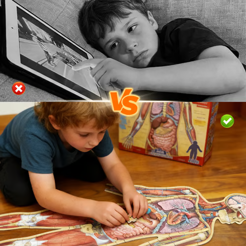1set Human Anatomy Puzzle for Kids