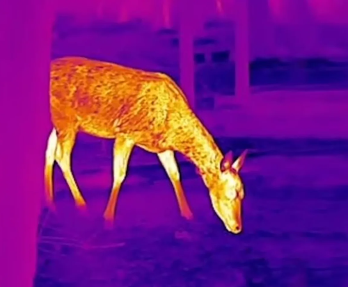 Telescope thermal imaging monocular night vision equipment