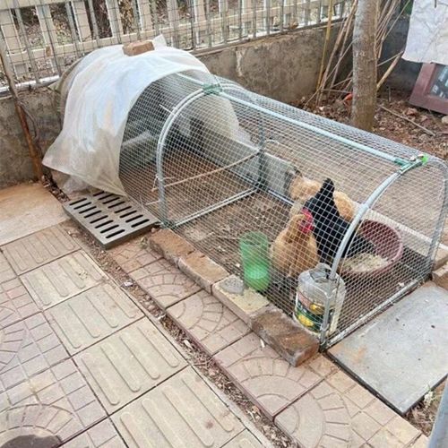 Take the subway network chicken cage runway chicken tunnel cage farm outdoor stroll chicken cage courtyard farmers free-range