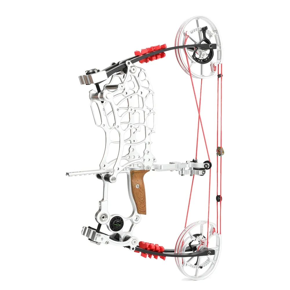 30-70lbs Compound Bow 7075 Aviation Aluminium Archery Arrow Shooting Steel Ball for Right Hand Hunting Target Dual Purpose Bow