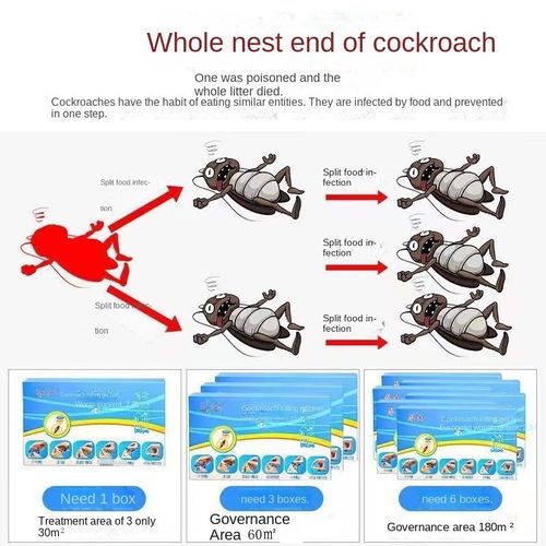 3 Boxes Roach Elimination - Whole Nest Solution