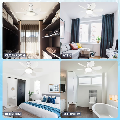 Remote-controlled ceiling fan with light