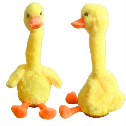 Swinging duck toy, social conversation, singing