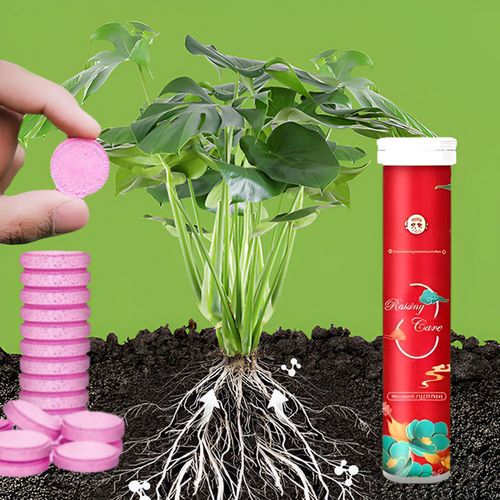 Organic long-lasting fertilizer in tablet form