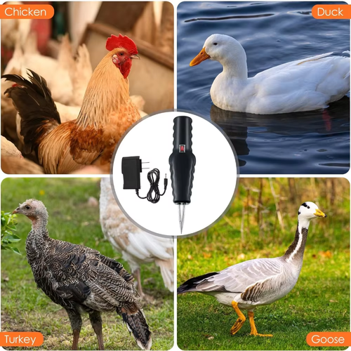 Electric Quick Chicken Plucker Hair Extractor Handheld Chicken Duck Short Hair Plucker Tools