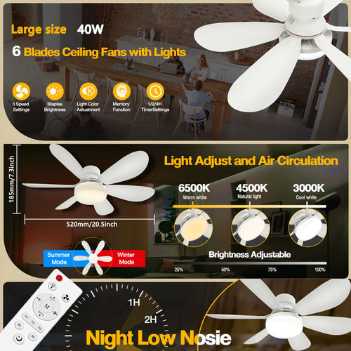 Remote-controlled ceiling fan with light