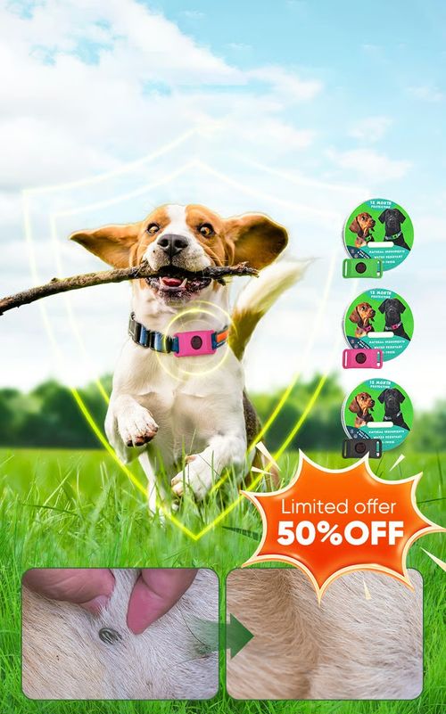Pet flea and tick rings effectively prevent flea and insect bites.