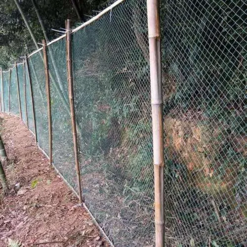 20m*3m Orchard Anti Hail Net Fish Pond Anti Bird Net Goji Berry Cherry Grape Net Greenhouse Hail Net Locust and Debris Protection
