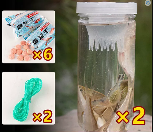 Durable Catch Fish Bottle Lightweight Plastic Fish Cage Small Fish Loach Trap Reusable  Fishing Bottle Fishing Tool
