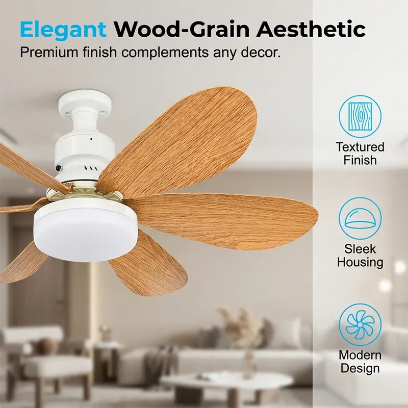 Time-Limited Special n-in-1 Smart Ceiling Fan Light