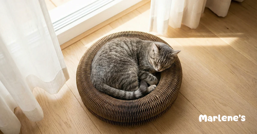 6 reasons why Kitty Kurlz is driving cats absolutely WILD (even the picky ones who ignore everything!)