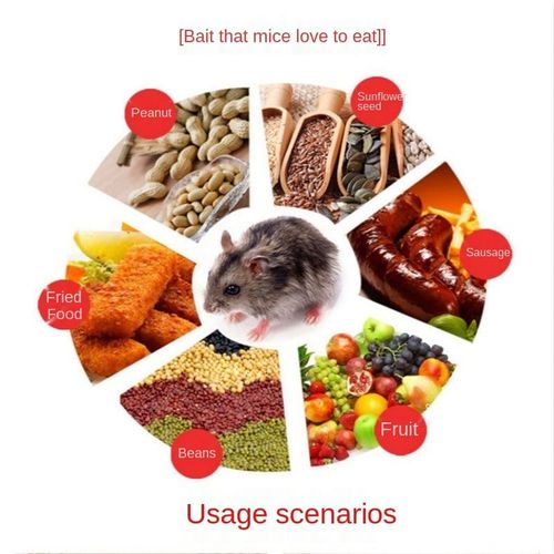 5 PCS Reusable Mouse Trap Perangkp Tikus Sekali Yang Sangat Efektif, Sekali Kena Terus Mati