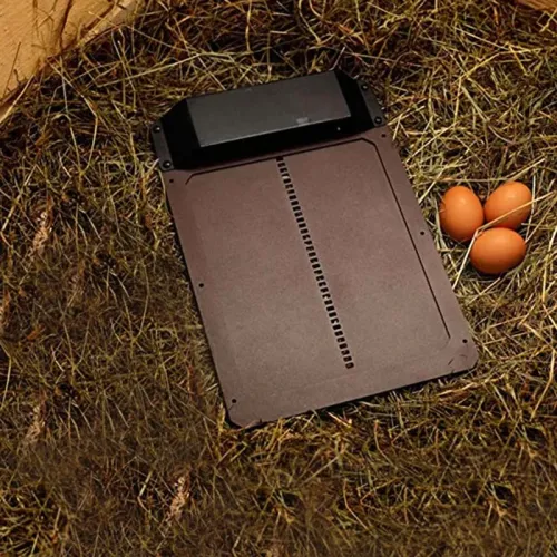Automatic Chicken Coop Door Anti Pinch Electric Metal Opening Closing for Farm Management Tool Farm