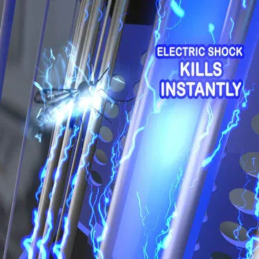 2 piece Electric Shock Mosquito Killer Night Lamp - BOGO