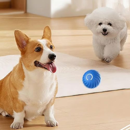 Automatic Teasing Dog Ball That Can't be Bitten