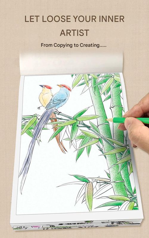 Chinese painting white character copy album