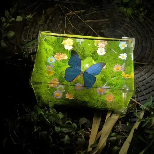 Butterfly Nightlight Handmade DIY Material Package Atmosphere Light Bedroom Sleep Light