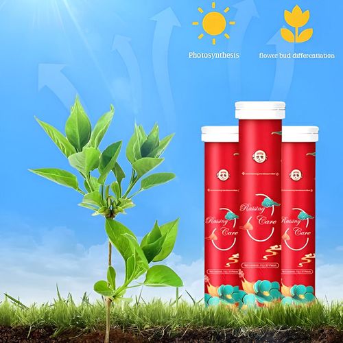 Organic long-lasting fertilizer in tablet form