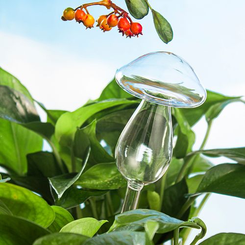 Mushroom Shape Glass Automatic Plant Watering Fountain 2pcs