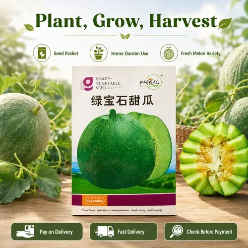 🌱 Buy 1 Get 10 | Green Gem Sweet Melon Seeds 50 Seeds per Pack for Home Garden and Farm Planting | COD Free Shipping