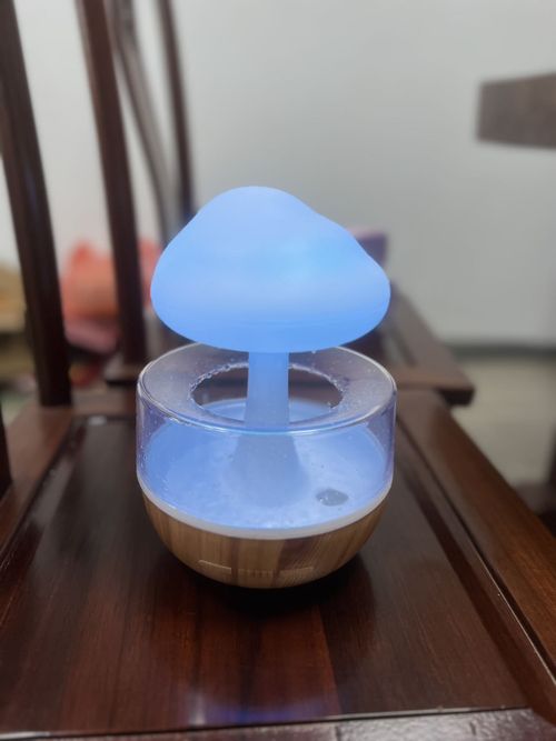 Mushroom Rain Air Humidifier Electric Aromatherapy Machine Water Drop Sound Colorful Night Light W24-715