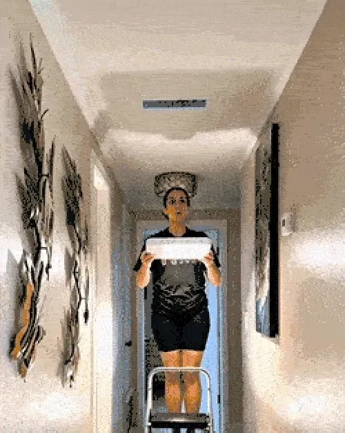 Automatic LED Motion Sensor Ceiling Light