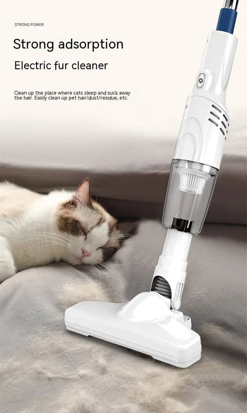 🎅Christmas Special Offer🎁 Powerful cordless 2-in-1 vacuum cleaner