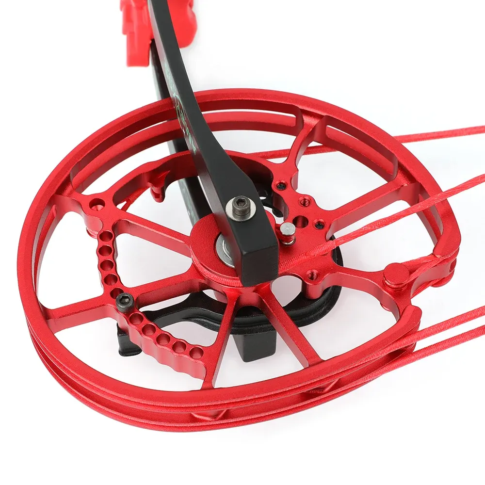 30-70lbs Compound Bow 7075 Aviation Aluminium Archery Arrow Shooting Steel Ball for Right Hand Hunting Target Dual Purpose Bow