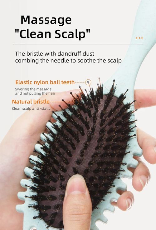 Curl Styling Tangled Boar Bristle Hair Comb Massage Comb Detangle Hair Styler Shaping Defining Salon Barber Styling Tool