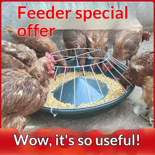 2PCS High Capacity Circular Chicken Feeder 24 Holes for Small Farm Backyard Poultry Daily Care Use