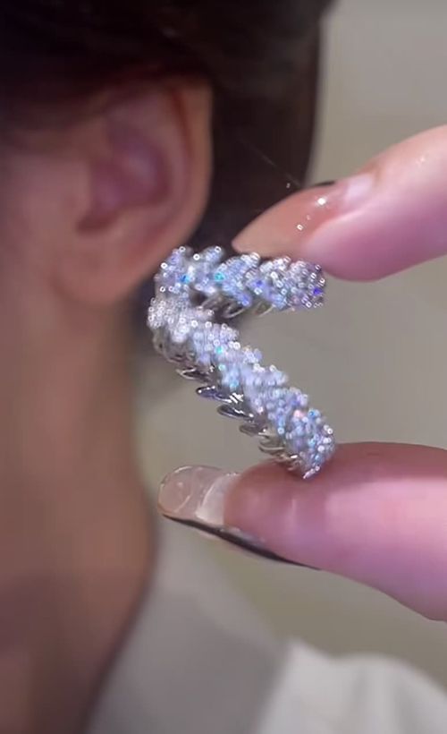 A pair Full zircon leaf double-layer ear bone clip light luxury zircon no ear piercing design earrings ear clip earrings