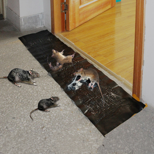 Sticky rat blanket, rodent killing magic blanket