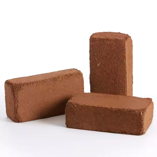 3 low salt high foam coconut brick