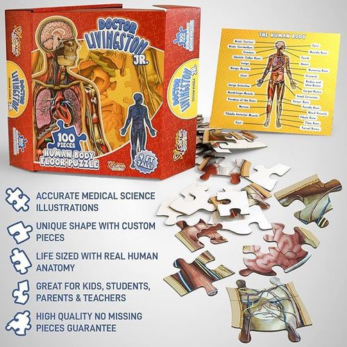 1set Human Anatomy Puzzle for Kids