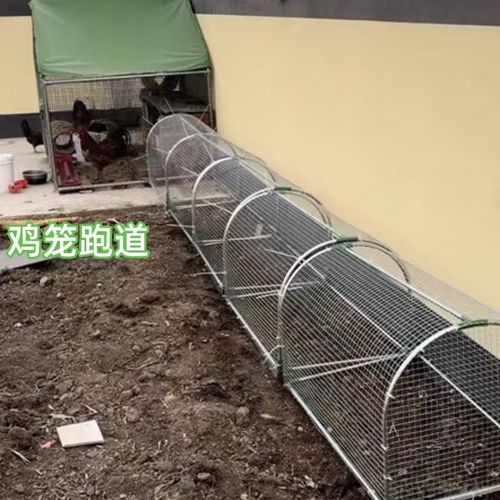 Take the subway network chicken cage runway chicken tunnel cage farm outdoor stroll chicken cage courtyard farmers free-range