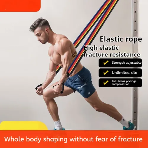 Resistance Bands With Handles Beginner fitness program using a resistance band at home
