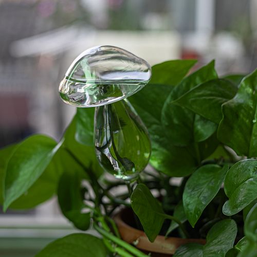 Mushroom Shape Glass Automatic Plant Watering Fountain 2pcs