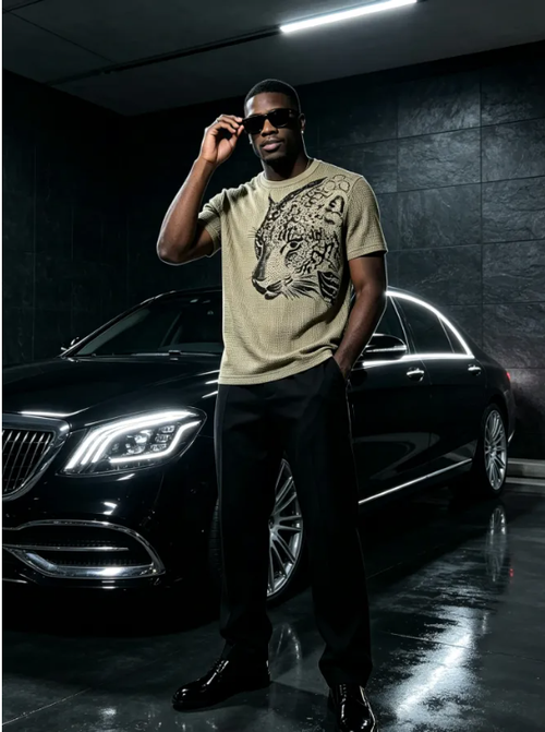 Men Textured Mesh Leopard Graphic Short Sleeve T-Shirt