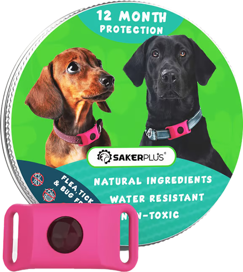 Pet flea and tick rings effectively prevent flea and insect bites.