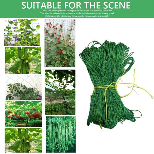 Plant Climbing Net, Green Grid Net, Cucumber Hanging Melon Climbing Net Support, Greenhouse Planting Courtyard