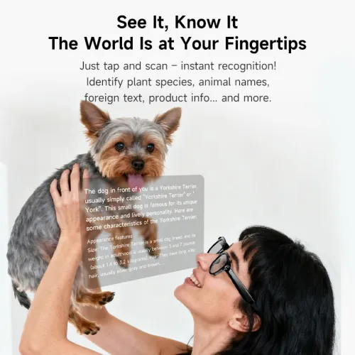 AI smart glasses, camera recording, AI photo recognition, Bluetooth call translation