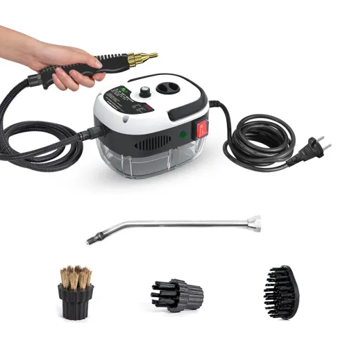 2500W Portable Handheld Steam Cleaner High Temperature Pressurized Steam Cleaning Machine with Brush Heads
