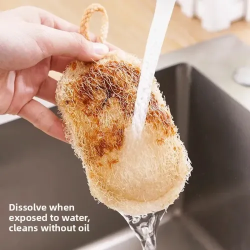 10PCS  Natural Loofah Sponge Dish Scrubber Vegetable Fiber Reusable Eco Friendly Oil Stain Remover With Hanging Rope Kitchen Cleaning