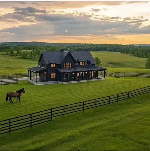 🔥⏰Last Day Promotion - 🌱 Evergreen dwarf grass seed for four seasons🌾 | Create your perfect lawn here🌼