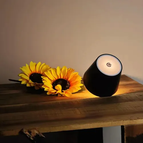 USB Charge Bottle Table Lamp Touch Control of 3 Colors and Stepless Dimming Night Lamp