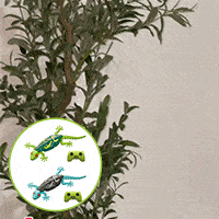 7 Reasons Why This Electric Lizard Toy with LED Light-Up Eyes Will Be the Ultimate Fun for Kids and Pets 🦎💡