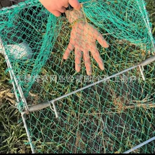 Poultry farming chicken cages 40cm wide and 50cm high