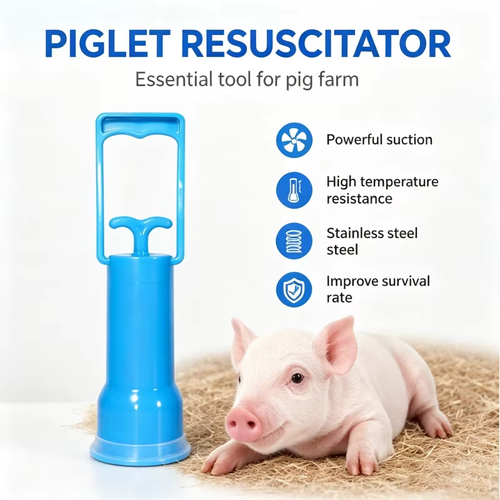 2pcs Piglet Resuscitator Newborn Pig Aspirator Pump Livestock Pig Farm Breeding Tool for Suckling Pig Mucus & Amniotic Fluid Suction