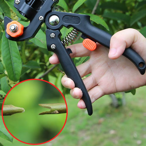 Professional Garden Grafting Tool Fruit Tree Pruning Shears Farming Pruner Scissor Cutting Knife Secateurs